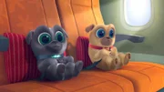 L-R: Bingo und Rolly