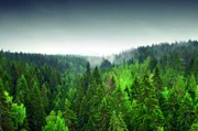 Finnland liegt am nordöstlichen Rand Europas.