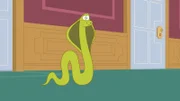 Cobra