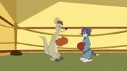 v.li.: Kangeroo, Tom
