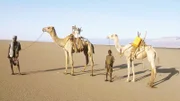 12 year old Wario and his father in the dessert, in search for salt