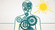 42 – Die Antwort auf fast alles Folge 6 Das Sonnenlicht eicht die innere Uhr: So werden alle rhythmischen Prozesse im Körper aufeinander abgestimmt.
