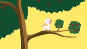 Ewe