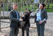 Tierpfleger Conny (Thorsten Wolf, l.) und Tierärztin Dr. Susanne Mertens (Elisabeth Lanz, r.) machen die Probe aufs Exempel. Und tatsächlich, der Esel trinkt Bier!