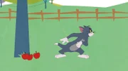 Tom