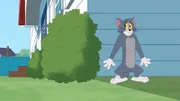 Tom
