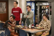 Während Sheldon, Leonard und Howard in ihren Beziehungen mit Höhen und Tiefen zu kämpfen haben, ist Rajs Singleleben viel entspannter.