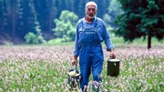 Peter (Peter Lustig) entdeckt eine geheimnisvolle Botschaft in einer Salzpackung - und begibt sich auf der Suche nach dem weißen Gold.