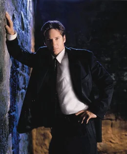 (5. Staffel) - Die X-Akten: Hier werden F&auml;lle gesammelt, in denen ungew&ouml;hnliche Ph&auml;nomene eine Rolle spielen, die nicht erkl&auml;rt werden k&ouml;nnen. FBI-Agent Fox Mulder (David Duchovny) untersucht derartige F&auml;lle.