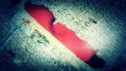 Fotos aus dem All erfassen einen mysteriösen Rauchschleier, der über Nordkorea zu sehen ist. Rätselhafte Satellitenbilder über Ägypten scheinen eine unglaubliche Entdeckung zu zeigen. Offenbaren die Bilder wirklich nicht nur eine, sondern gleich zwei vergessene Pyramiden? Ein Filmteam hat sich auf die Suche nach der Wahrheit gemacht und präsentiert spektakuläre Aufnahmen von diesen beiden Phänomenen.