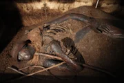 Moorleiche von Windeby aus dem Archäologischen Landesmuseum Schloss Gottorf.