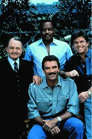 Thomas Magnum ist auf Hawaii Sicherheitschef für den nie anwesenden Schriftsteller Robin Masters. Statt Gehalt nutzt er Gästehaus und Ferrari des Chefs, nebenbei arbeitet er als Privatdetektiv. Magnums lockerer Lebenswandel führt zu ständigen Konflikten mit dem seriösen Hausverwalter Higgins.