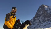 ARD/NDR SPÜRNASE, FÄHRTENSAU & CO. (17), "Familienzusammenführung". Für die beiden einjährigen Lawinenhunde, Bordercollie Cami und Labrador Spike, geht es weiter mit der Ausbildung in den Schweizer Alpen.