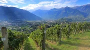 Hilde Van den Dries has laid out a vineyard just below the monastery walls, at 1,300 meters above sea level.