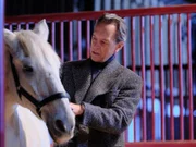 Harry (Richard E. Grant) erzählt Danny eine Geschichte aus der Kindheit von Dannys toter Tochter, bei der ein Pony eine wichtige Rolle spielt.