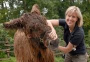Die Zootierärztin Dr. Sandra Silinski inspiziert Poitou-Esel Fridolin.