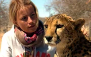 ARD/SWR DAS WAISENHAUS FÜR WILDE TIERE FOLGE 37, "Abenteuer Afrika", WR Dokuserie mit 40 Folgen, deren Schauplatz die Tierrettungsstation "Harnas" am Rand der afrikanischen Kalahari-Wüste ist, Marisa hat Zuneigung - aber auch Respekt - für die Geparden.