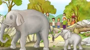 Ein Ausflugstag im Kindergarten führt Conni in den Zoo. Dort lernt Conni Wissenswertes über große und kleine Tiere.