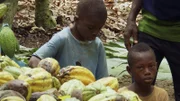 Viele Bauern sind gezwungen, ihre Kinder auf den Farmen mitarbeiten zu lassen, um ihre Familien erhalten zu können.