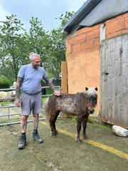Rettung für ein behindertes Pony