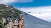 Gänsegeier kreisen über den Canyons der französischen Voralpen, die stielen Klippen sind gute Brut und Nistplätze.
