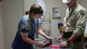 Game Warden Kegan Gould with vet helping tortoise that got run over.