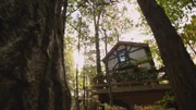 After photo of the treehouse.