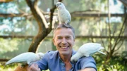 "Terra X: Faszination Erde – mit Dirk Steffens": Kakadus sind frech, neugierig, sehr schlau und zählen zu den besten Werkzeugmachern im Tierreich.