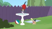 v.li.: Tom, Tyke