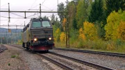 Für den Transport der schweren Rundhölzer sind die Bahnen von Hector Rail auf PS-starke Lokomotiven angewiesen.