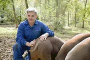 Fermí Corominas und seine Schweine