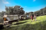 Der historische Siedlungszug führt durch die Ortschaften des am dichtesten besiedelten Mittelgebirges Europas: dem Erzgebirge.