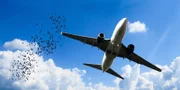 plane
