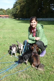 Anna mit fünf Chihuahuas an der Schleppleine.