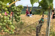 Tobias Kämmerer beim Wein Yoga.