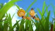Maja und Willi üben den Libellenflatterflitzeflug.