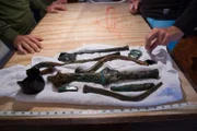 Pieces of old wreckage found after the team went searching for treasures.