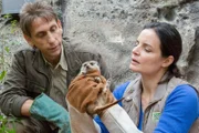 Dr. Susanne Mertens (Elisabeth Lanz) und Cheftierpfleger Conny Weidner (Thorsten Wolf) finden ein verschüttetes Erdmännchen.
