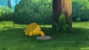 Eine Feder von Krähe Kiki lässt Törtel, die Schildkröte, nichts Gutes erahnen: Was ist dem Vogel zugestoßen?