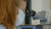 Forensiker auf Spurensuche.