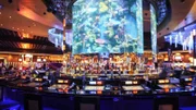 The 60,000-litre tank is modelled on a coral reef and is home to puffer fish, rays and hammerhead sharks.