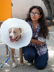 Rocky is brought into PPP clinic after he was bitten by a snake bite, which is serious. Dr Jeff and Shelly attend to him.