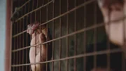 Hand hinter Gitterstäben im New Bilibid Gefängnis in Manila   +++