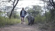 Freiwilligenhelferin Megan läuft mit Nandi im Nashorn Waisenhaus  +++