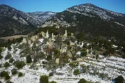 In der Provence beginnt der Schnee zu schmelzen. Zwischen Mauerresten gehören die Zweipunkt-Marienkäfer zu den Ersten, die erwachen ...