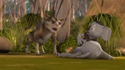 Blinky, Jacko und ein fremder Koala werden von Sir Charles gejagt.