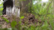 In beiden Mordfällen haben die Täter ihre Opfer vergraben.