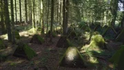 In der Eifel, an der Grenze zu Belgien, führt eine Linie aus "Drachenzähnen" mitten durch den Wald. Es sind die Panzersperren des Westwalls.