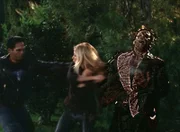 Buffy (Sarah Michelle Gellar)