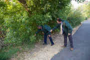 Detectives Reichert und Haney suchen am Flussufer nach Leichen. Die Verwendung des sendungsbezogenen Materials ist nur mit dem Hinweis und Verlinkung auf RTL+ gestattet.; Logo n-tv Talk Spezial